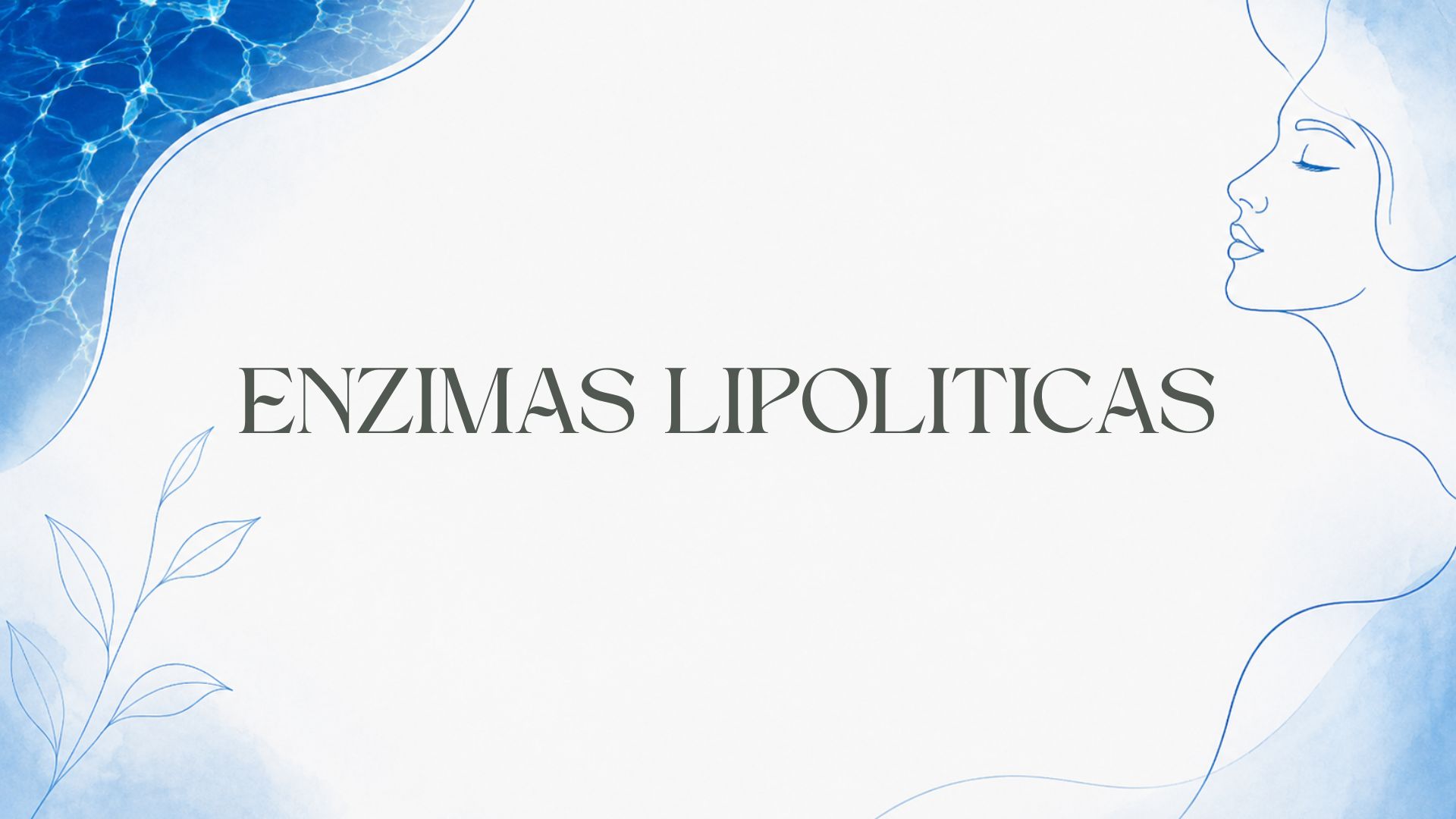 Enzimas lipoliticas.